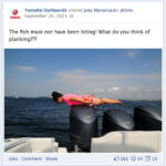 Planking on Yamaha outboard